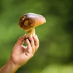 Pod šerákem Casa de hóspedes 3*