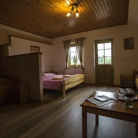 Pod Serakem Guest house Ostruzna